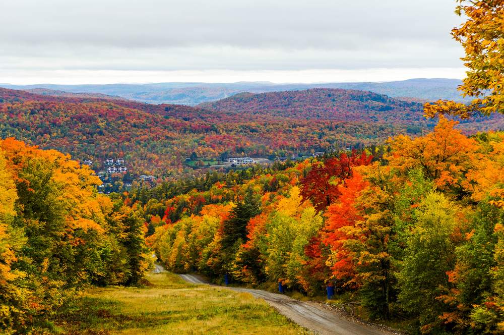 What hotels are doing to help you admire the fall foliage