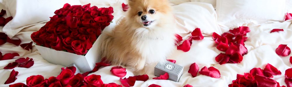 Love is in the air: These hotels turn up the romance quotient for Valentine’s Day to the max